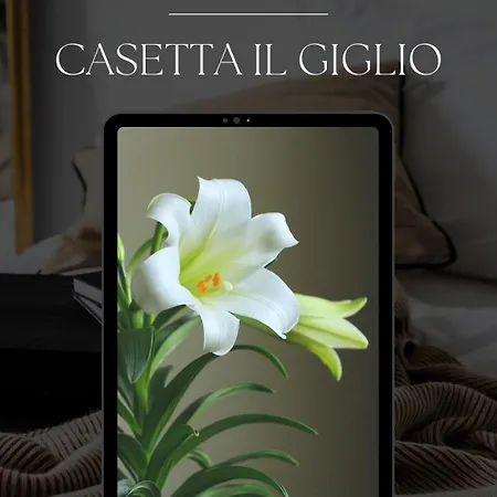 公寓 Casetta Il Giglio *